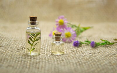 Claves del aceite de borraja, ¿por qué usarlo en tu rutina?